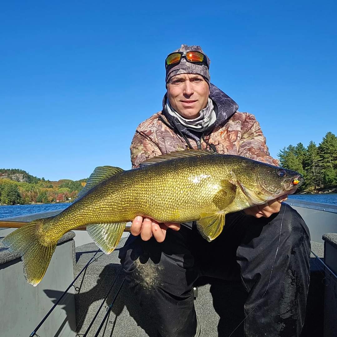 High Caliber Lures Walleye jigs produce bigger & better walleye, it's that simple. We are proud to be Canada's best fishing tackle manufacturer. We offer jigs, lures, spoons, swim baits, tube jigs and Shockwave rattle baits. Why Not Get the Best, Get A Hook Above the Rest!.