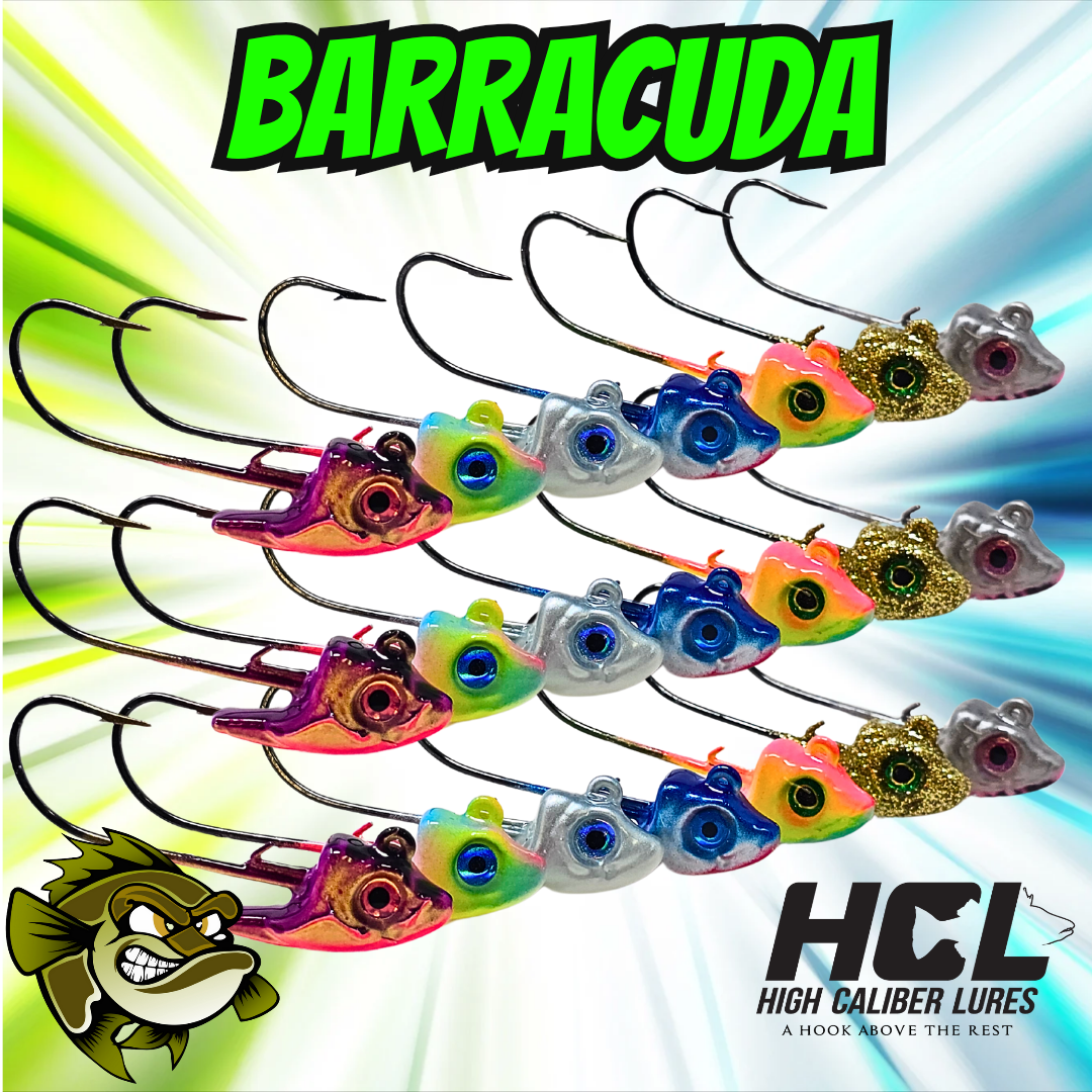 barracuda fishing lures Pro King Blue Captain Chuck's II trout tarpon 5-10PC Multi-Joint Sinking Glide Baits
